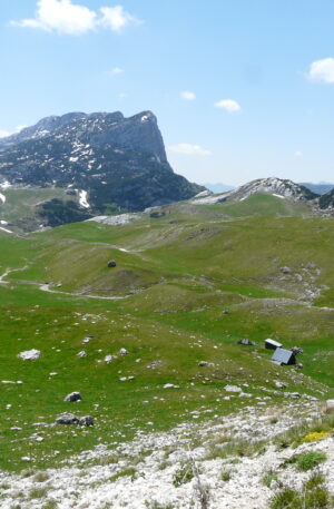 Into the Wild Montenegro