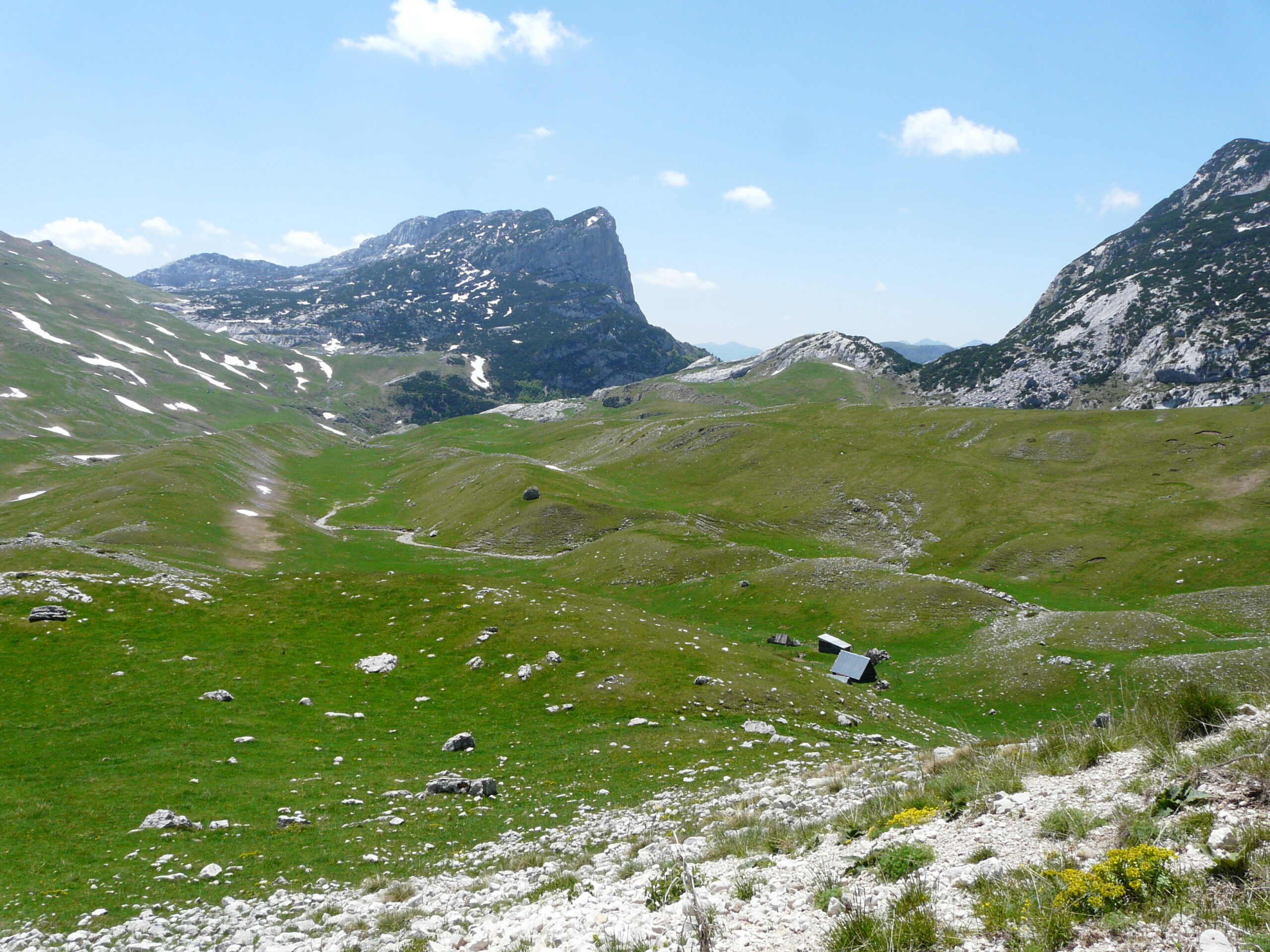 Into the Wild Montenegro