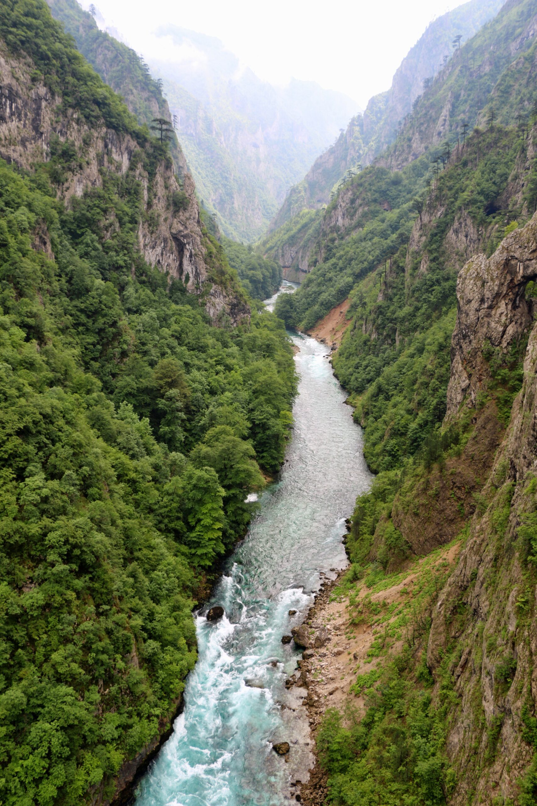 Into the Wild Montenegro - Afbeelding 2