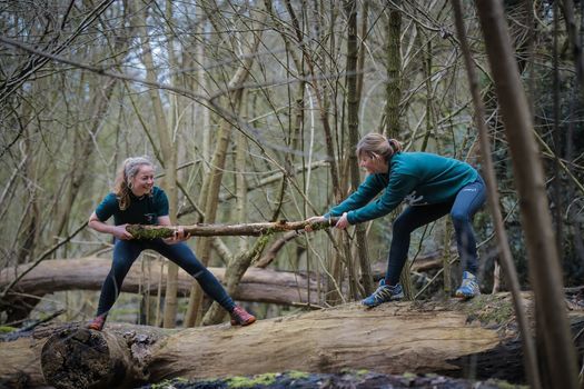 Inspirerende Studiedag in de Natuur - Afbeelding 3