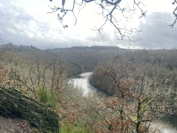 Packrafttrip Winters België - Afbeelding 5