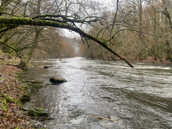 Packrafttrip Winters België - Afbeelding 4